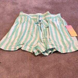 Stoney Clover/Target GreenStripe Shorts